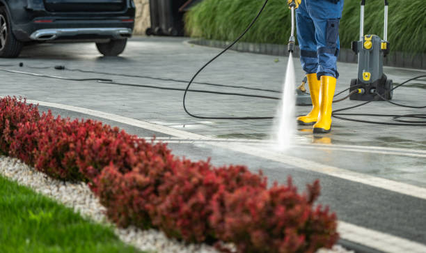 Trusted New Orleans, LA Pressure Washing Experts
